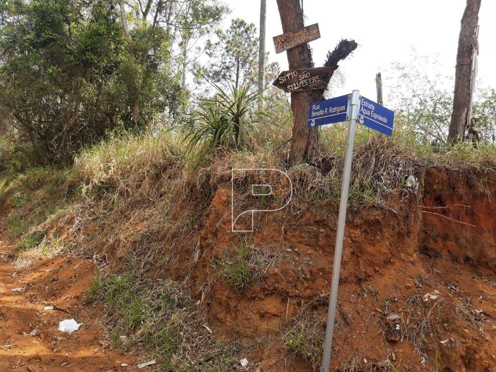 Terreno, 2078 m² - Foto 7