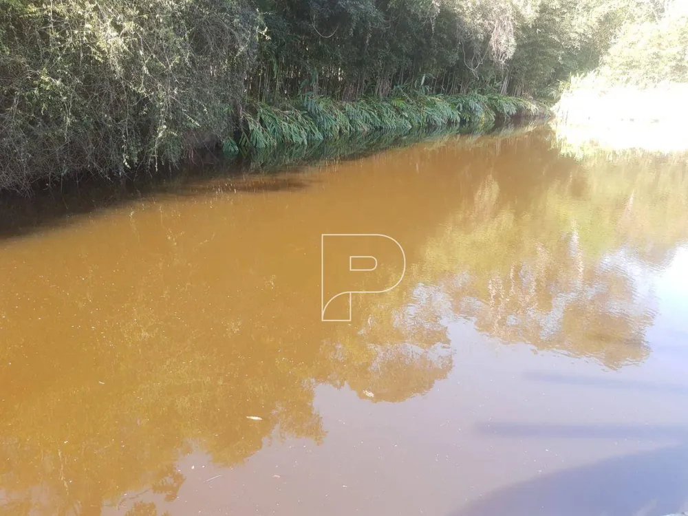 Terreno, 4 hectares - Foto 6