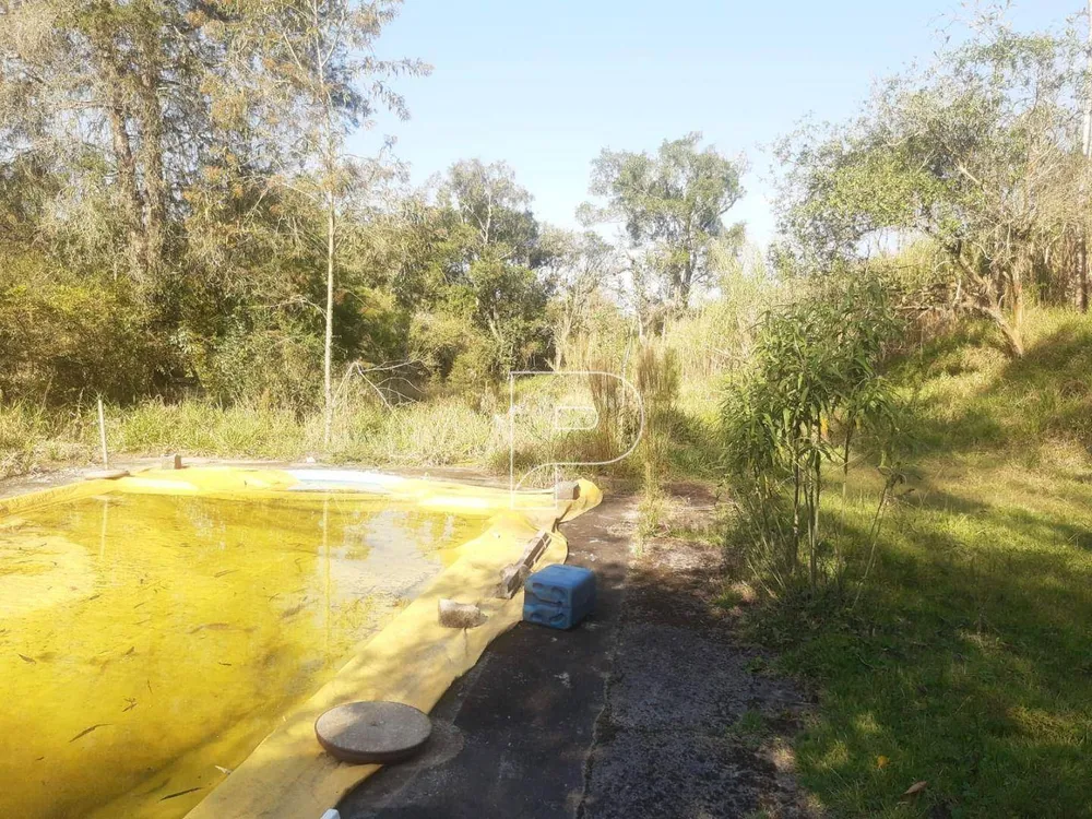 Terreno, 4 hectares - Foto 8