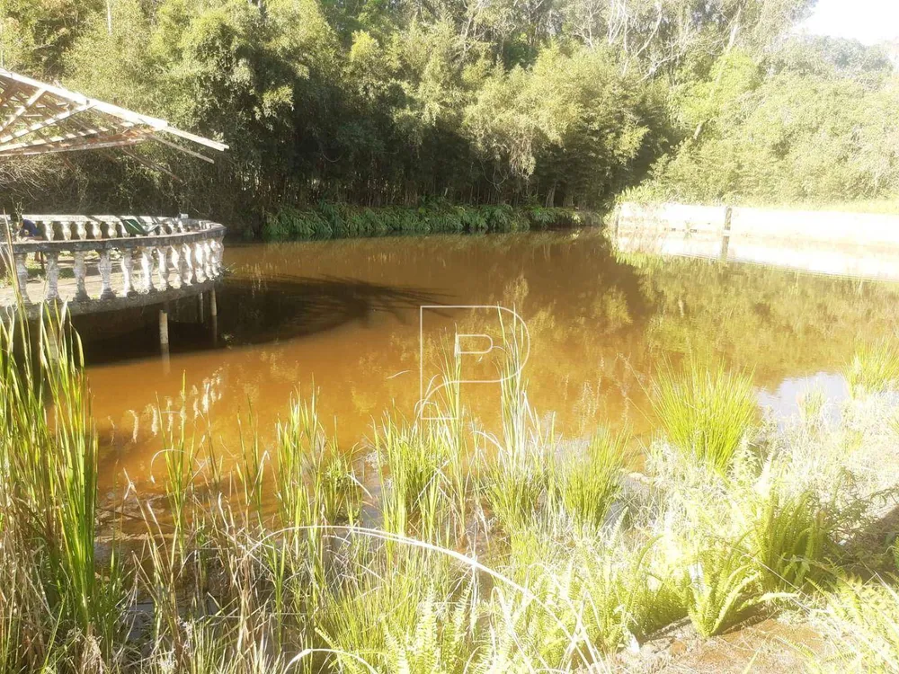 Terreno, 4 hectares - Foto 7