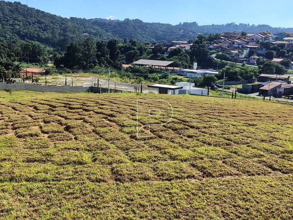 Loteamento e Condomínio, 354 m² - Foto 7