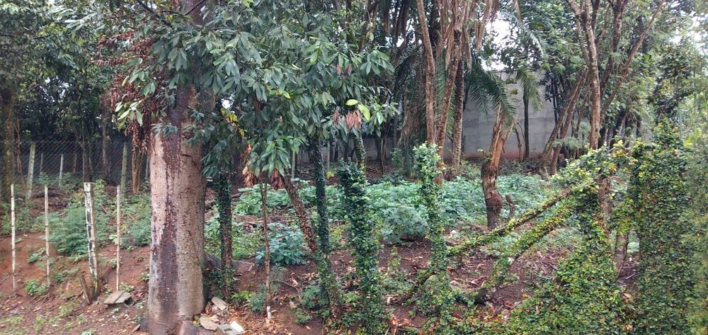 Loteamento e Condomínio à venda, 520M2 - Foto 4