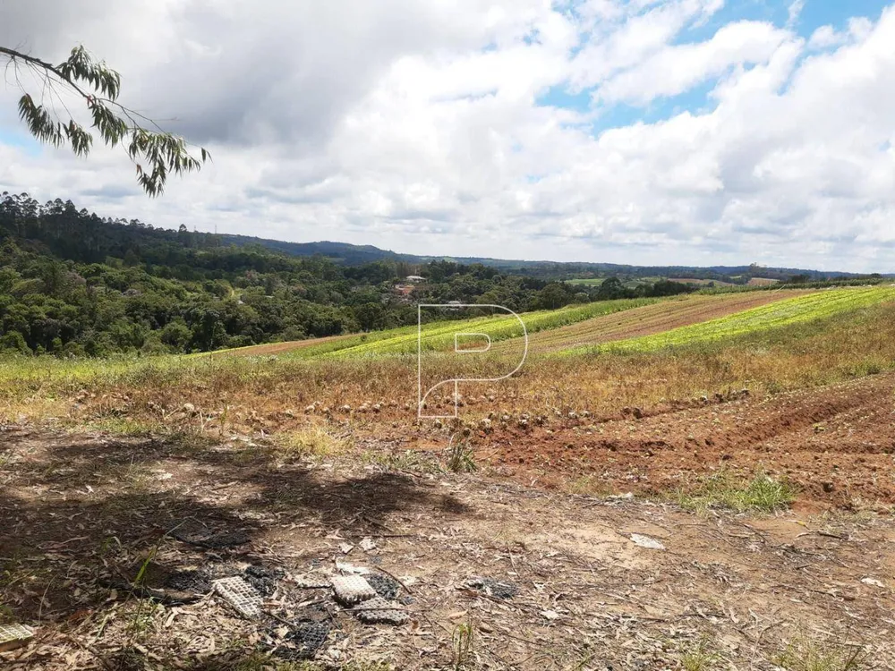 Terreno, 4 hectares - Foto 15