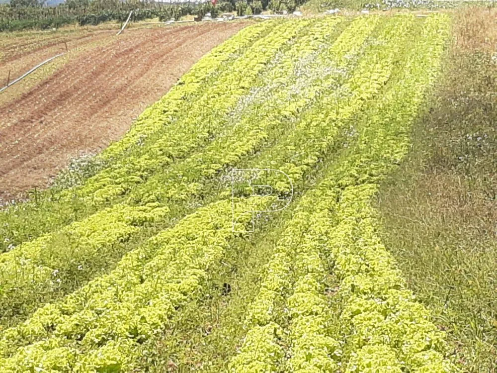 Terreno, 4 hectares - Foto 9
