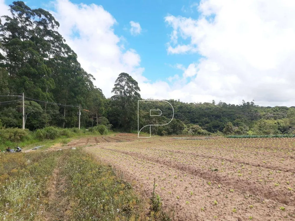 Terreno, 4 hectares - Foto 3