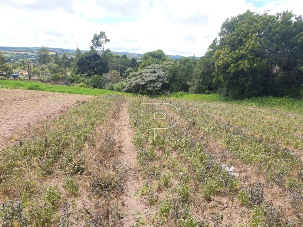 Terreno, 4 hectares - Foto 8
