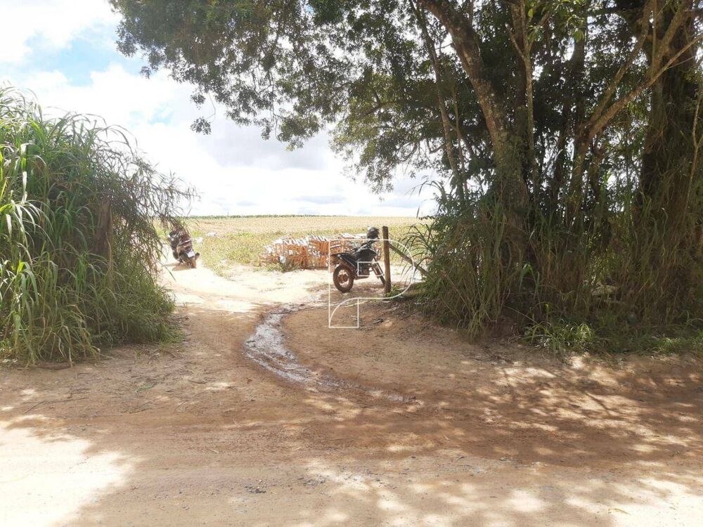 Terreno, 4 hectares - Foto 1