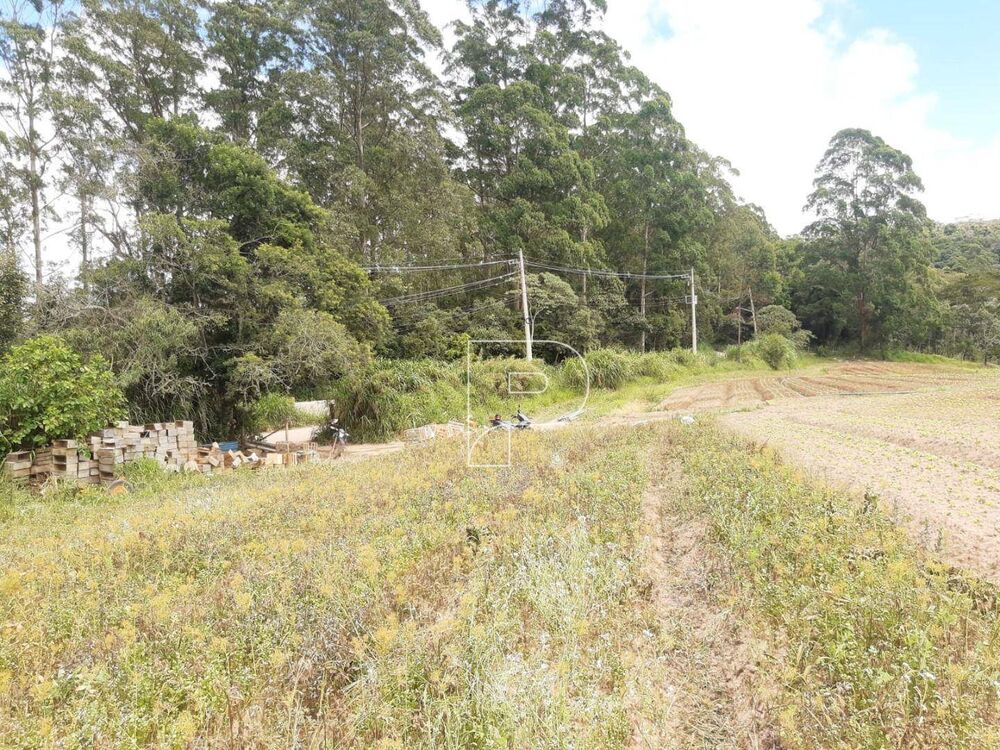 Terreno, 4 hectares - Foto 8