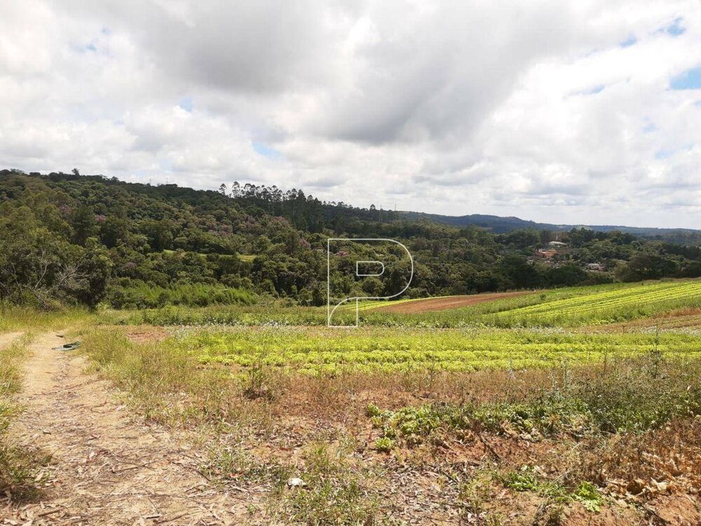 Terreno, 4 hectares - Foto 4