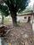 Casa, 1 quarto, 40 m² - Foto 2