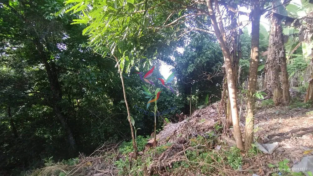Terreno, 4000 m² - Foto 2