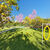 Terreno, 525 m² - Foto 3
