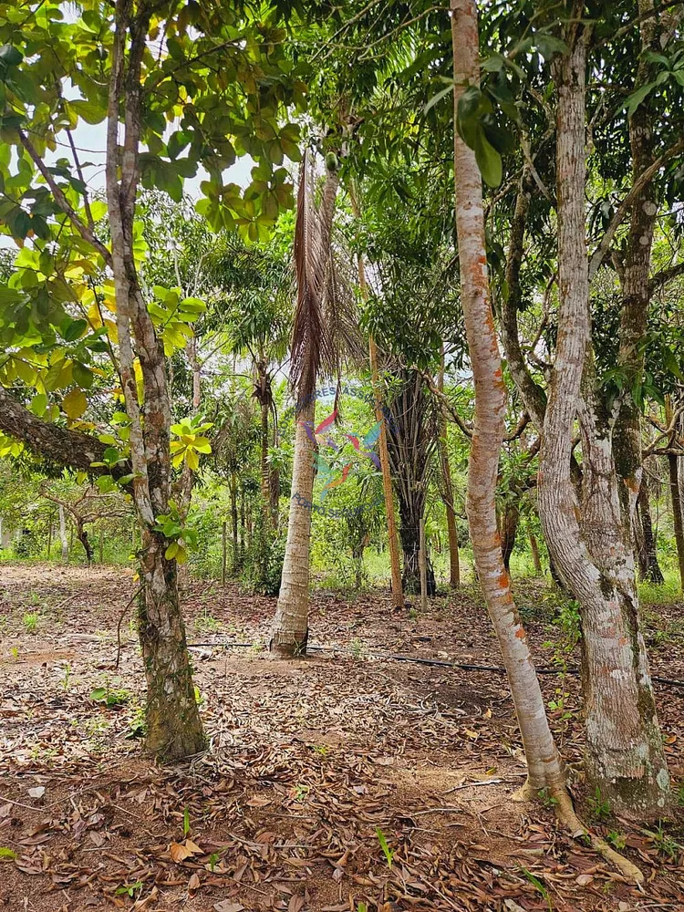 Terreno, 1500 m² - Foto 6