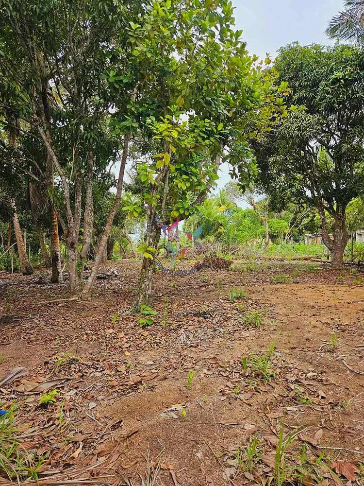 Terreno, 1500 m² - Foto 7