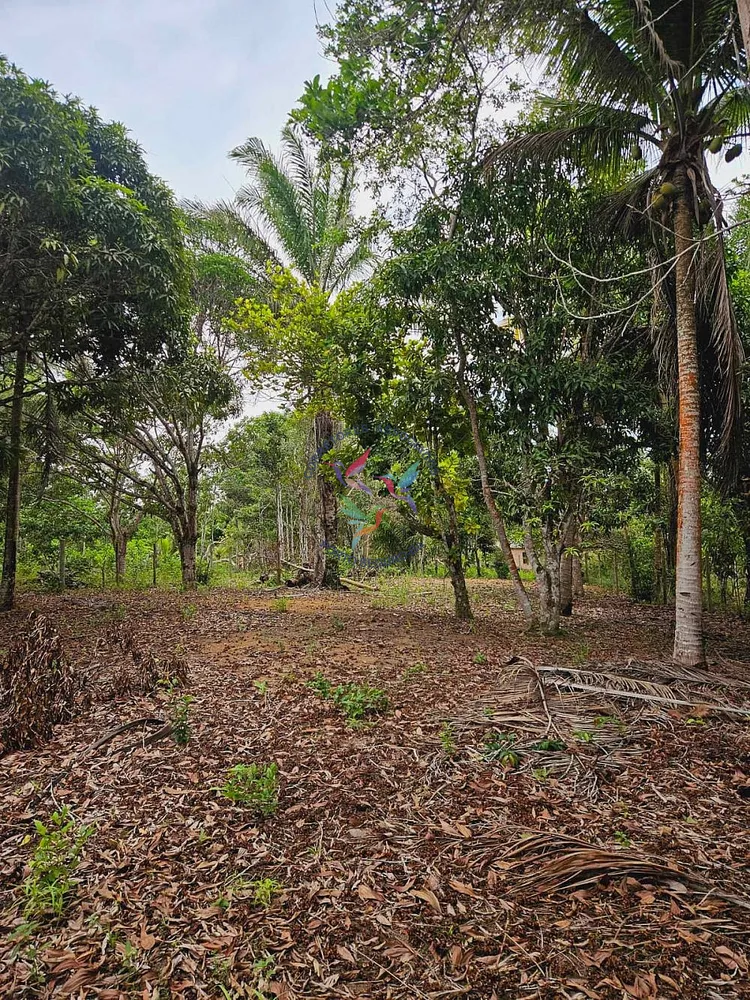 Terreno, 1500 m² - Foto 3