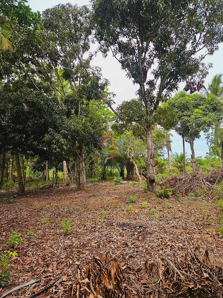 Terreno, 1500 m² - Foto 4