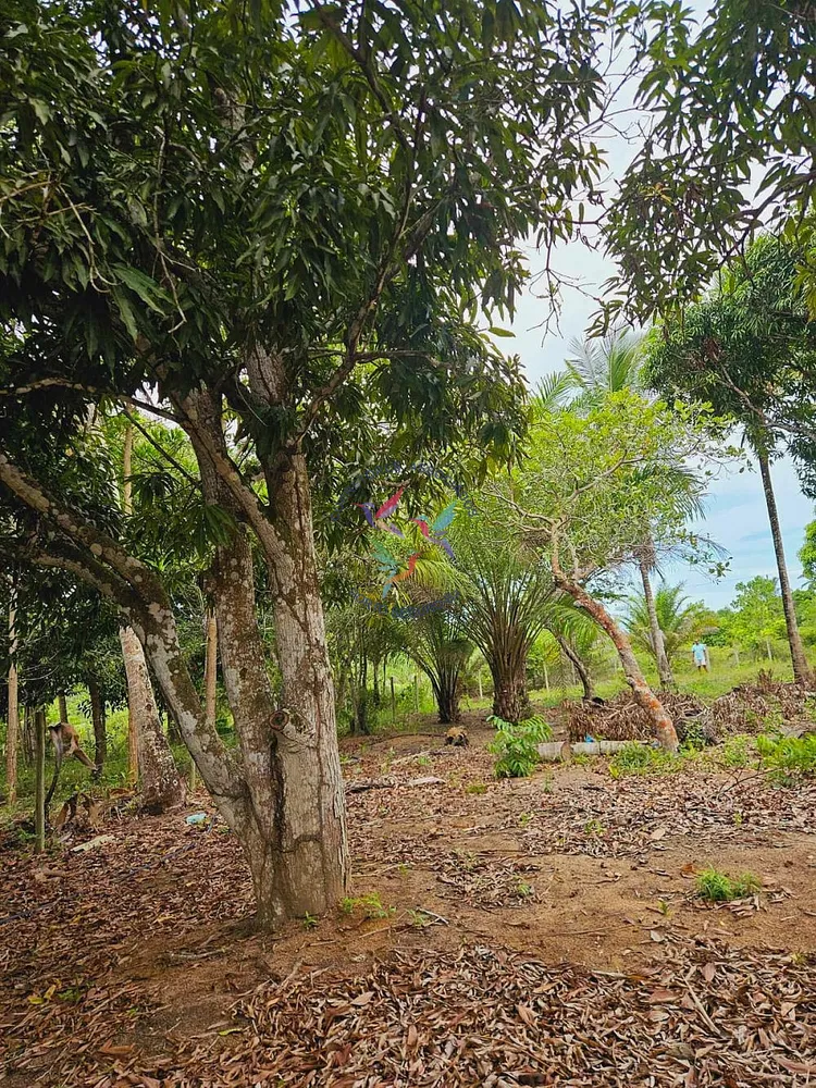 Terreno, 1500 m² - Foto 8