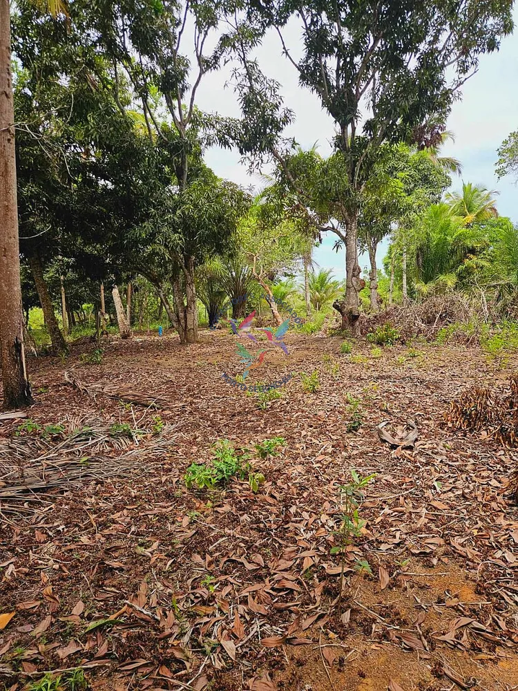Terreno, 1500 m² - Foto 5