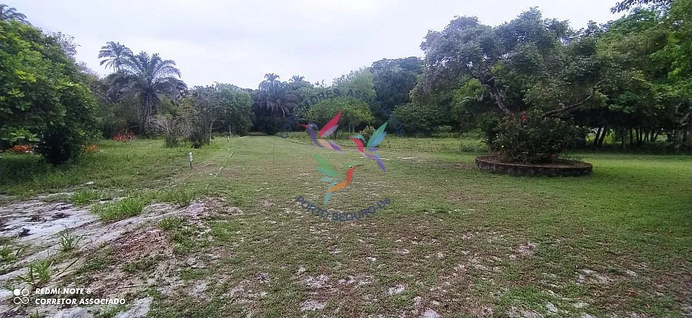 Terreno, 3 hectares - Foto 2