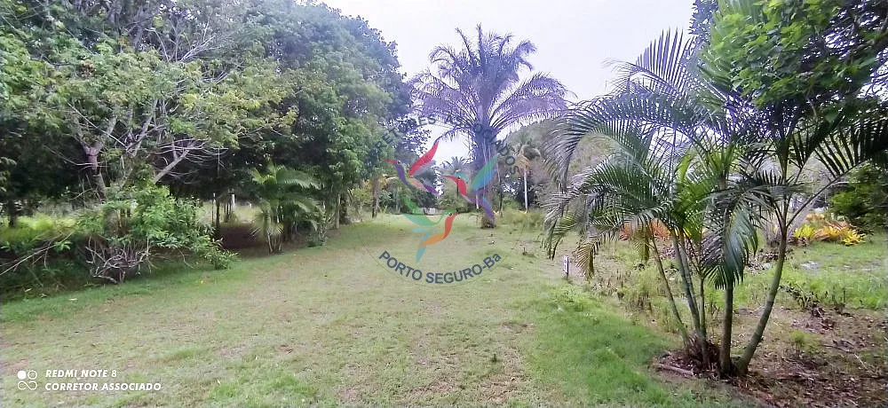 Terreno, 3 hectares - Foto 1