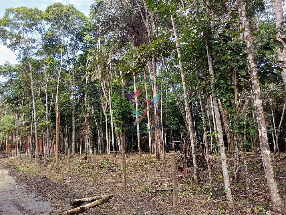 Terreno, 1 hectares - Foto 1