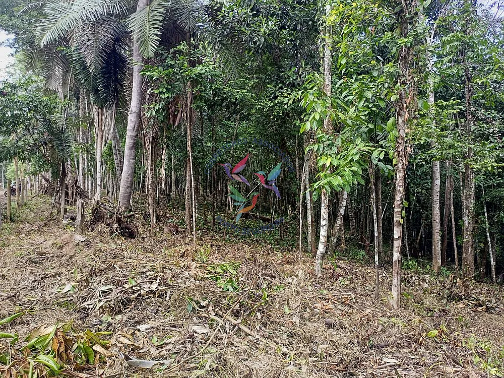 Terreno, 1 hectares - Foto 6