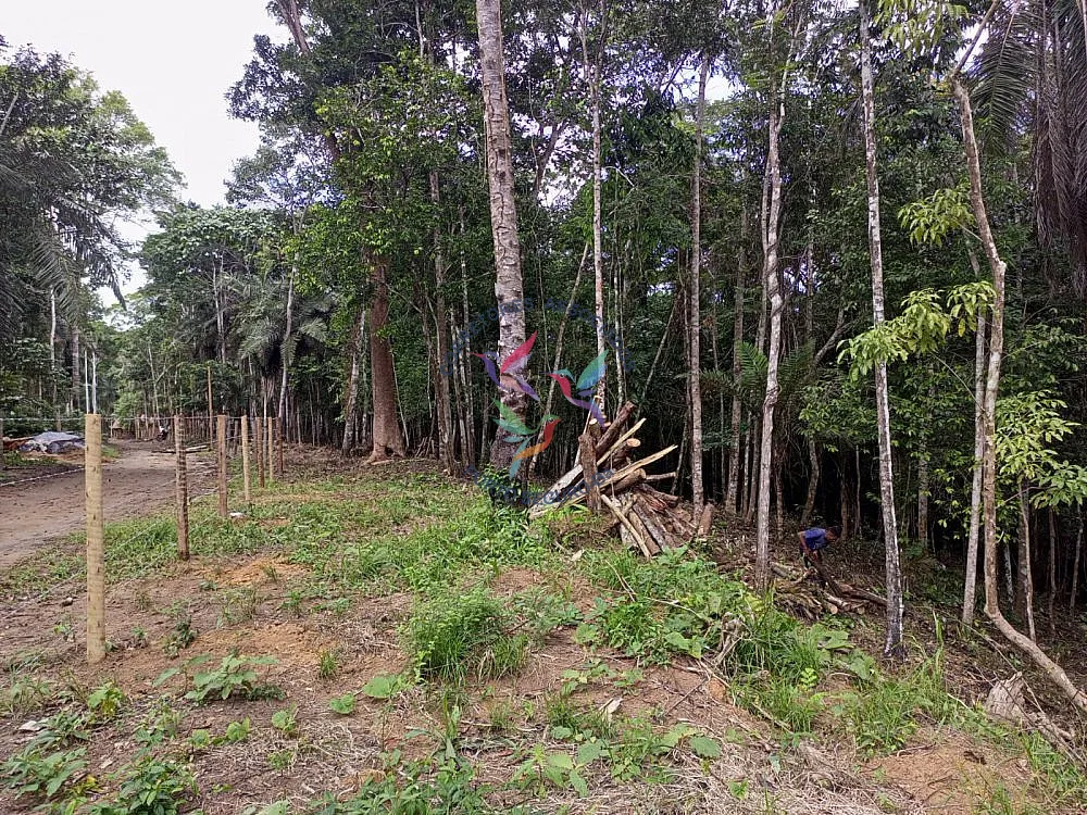 Terreno, 1 hectares - Foto 3