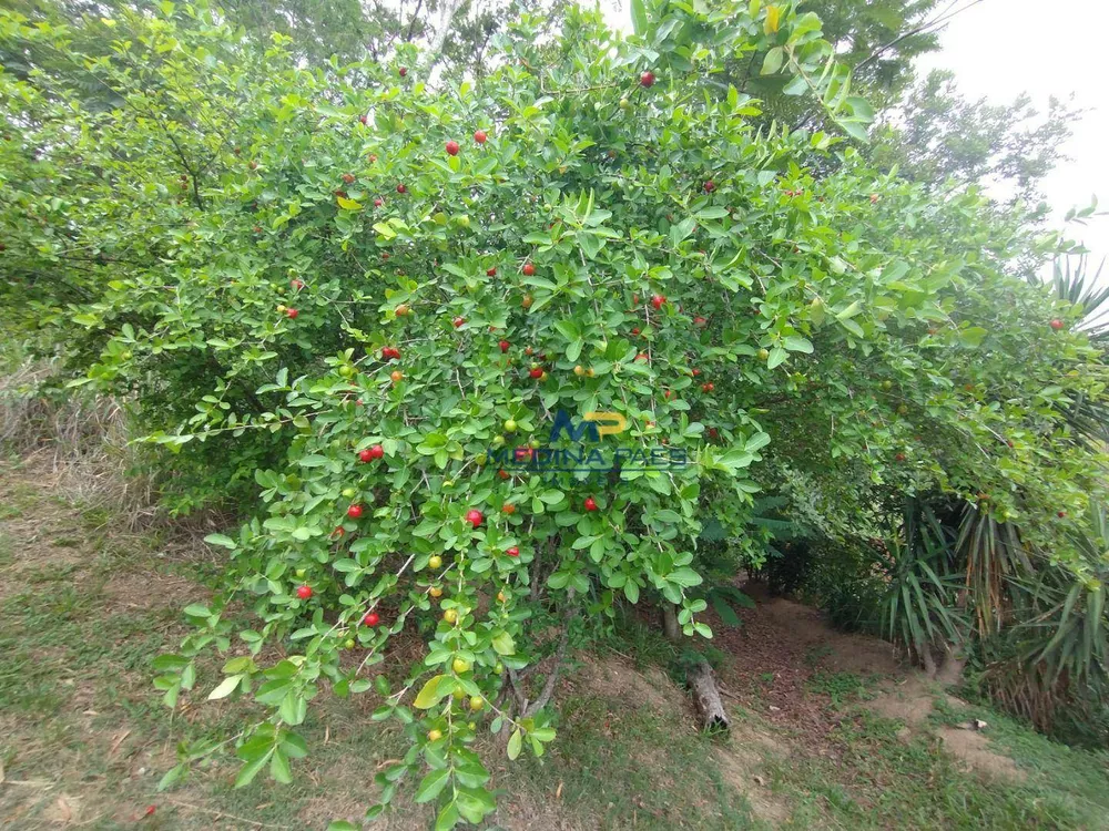 Casa, 4 quartos, 100 m² - Foto 53