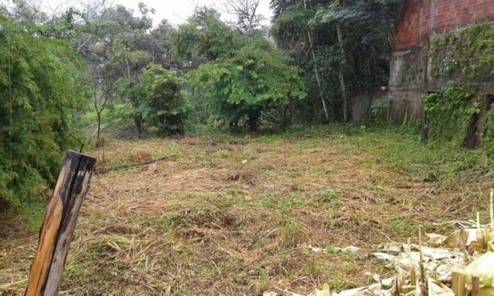 Terreno, 650 m² - Foto 2