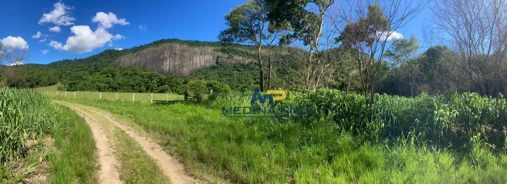 Fazenda, 24 hectares - Foto 30
