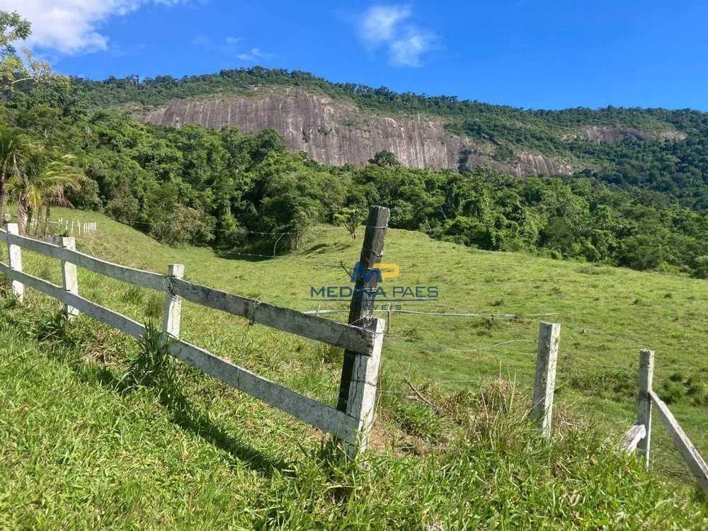 Fazenda, 24 hectares - Foto 77