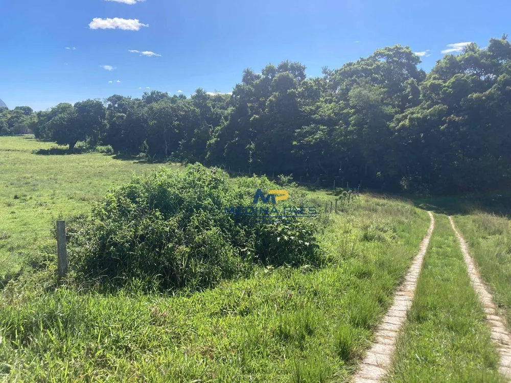 Fazenda, 24 hectares - Foto 82