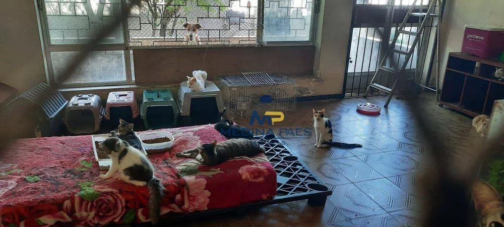 Casa, 4 quartos, 100 m² - Foto 18
