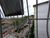 Apartamento, 2 quartos, 42 m² - Foto 8
