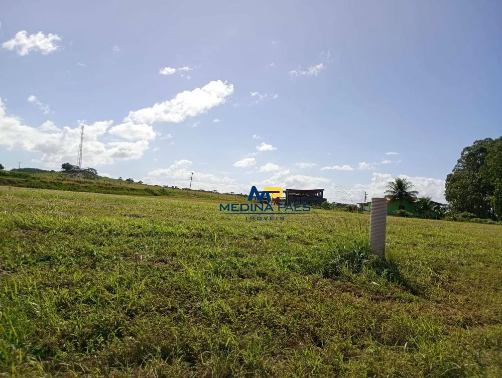 Terreno, 100 hectares - Foto 4