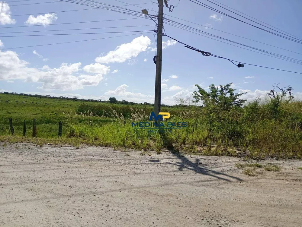 Terreno, 100 hectares - Foto 15