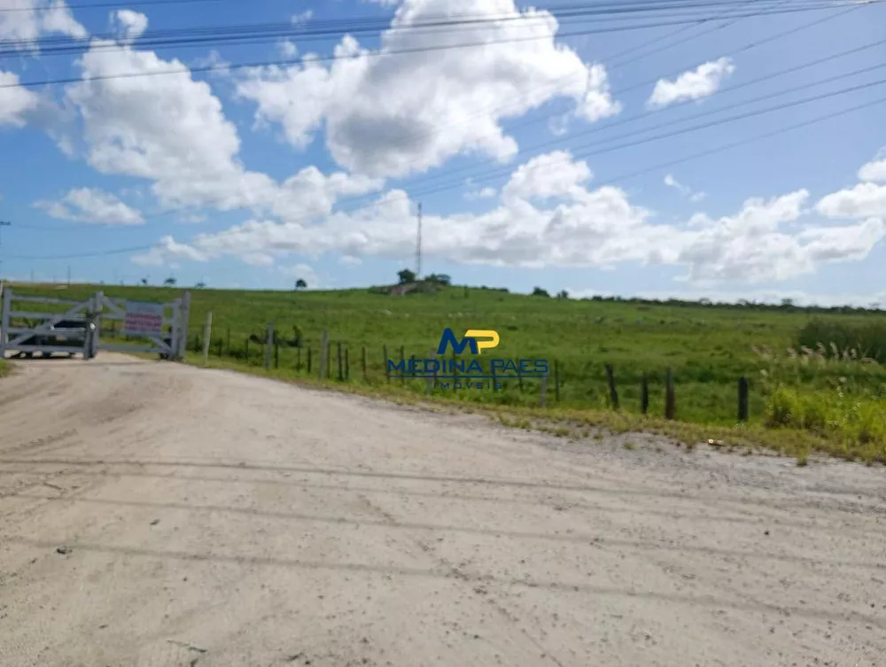 Terreno, 100 hectares - Foto 1