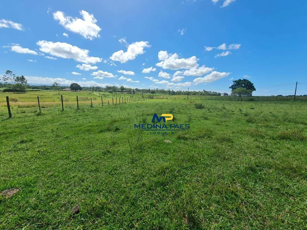 Fazenda, 126 hectares - Foto 19