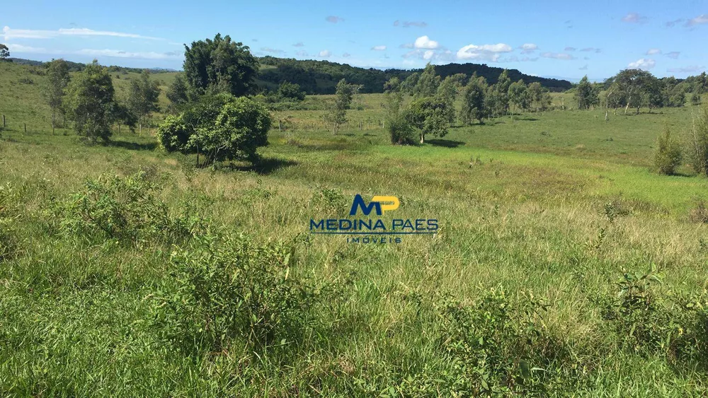 Fazenda, 126 hectares - Foto 6