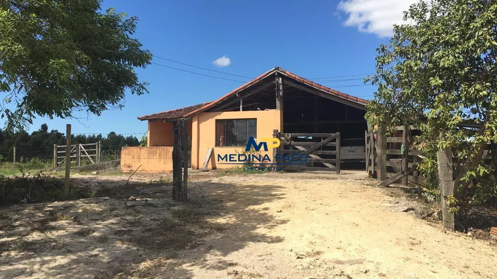 Fazenda, 126 hectares - Foto 7