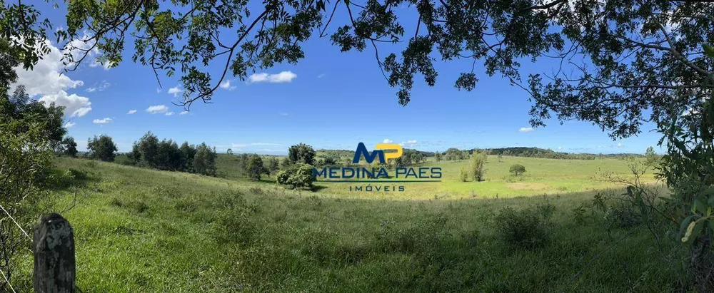 Fazenda, 126 hectares - Foto 3