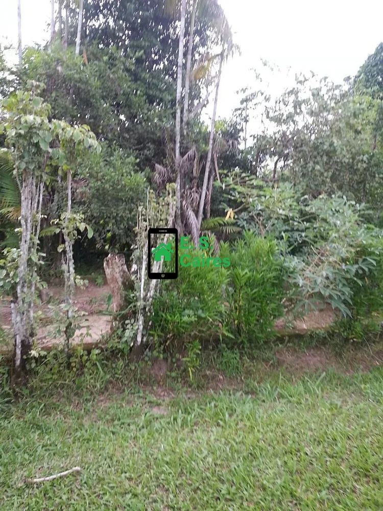 Sítio, 3 quartos, 6983 m² - Foto 6