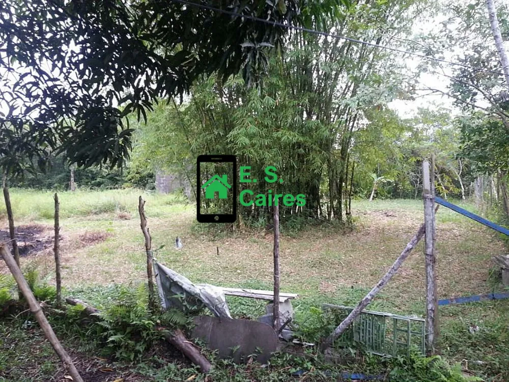Sítio, 3 quartos, 6983 m² - Foto 8
