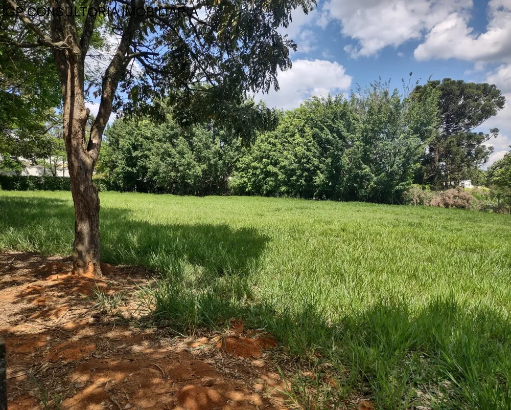 Terreno, 5000 m² - Foto 6