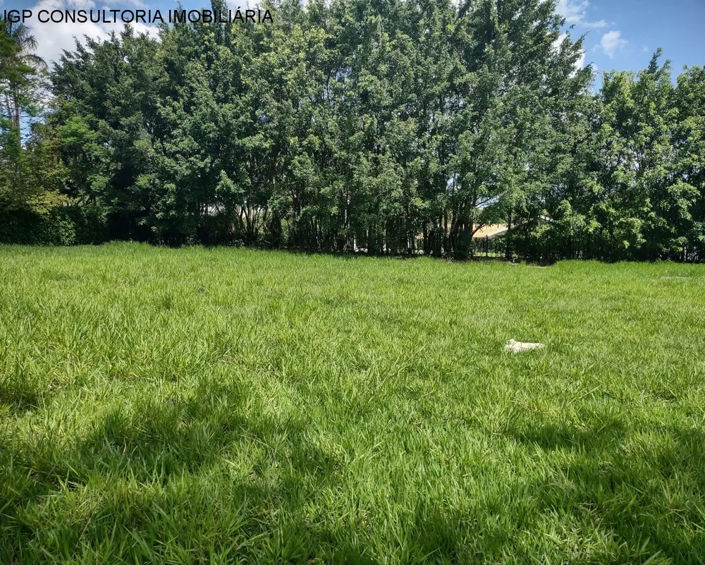 Terreno, 5000 m² - Foto 9