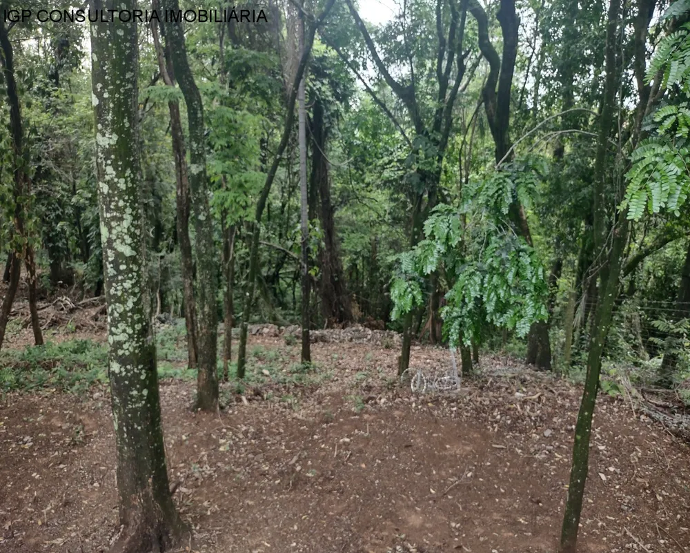 Chácara, 3 quartos, 5320 m² - Foto 12