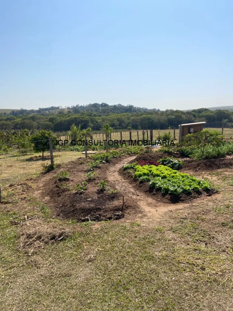 Sítio, 2 hectares - Foto 4