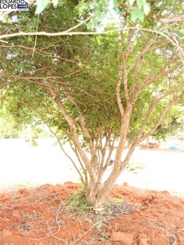 Terreno, 5000 m² - Foto 4