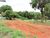 Terreno, 5000 m² - Foto 1
