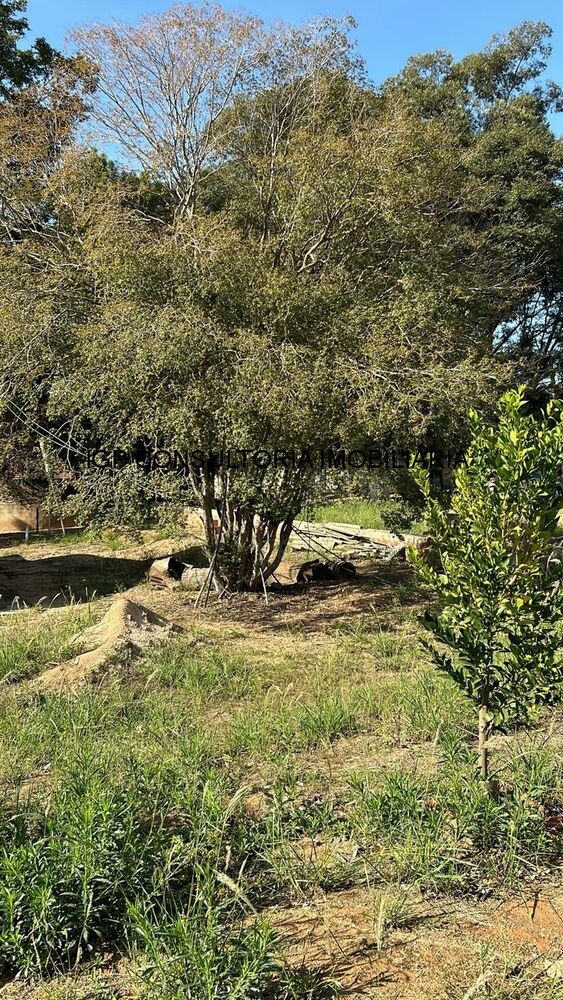 Terreno, 1000 m² - Foto 4